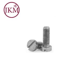 M10X50 CH S/S 304 M.SCREW