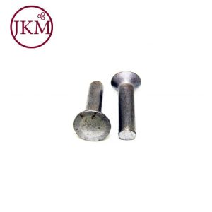 M6X25 CSK STEEL RIVET