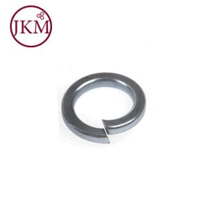 M2 GALV SPRING WASHER  (BOS)