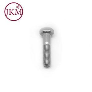 M12X100 S/S 304 BOLTS