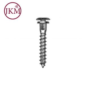 M8X75 GALV SECURITY COACH SCREW