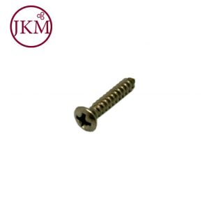 3.5X19 RAISED POZI S/S 304 S.TAPPER