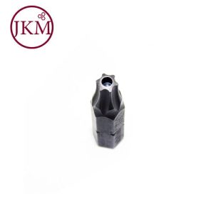 TORX TAMPER RESIST.T25HX25M (SC21879)  BULK